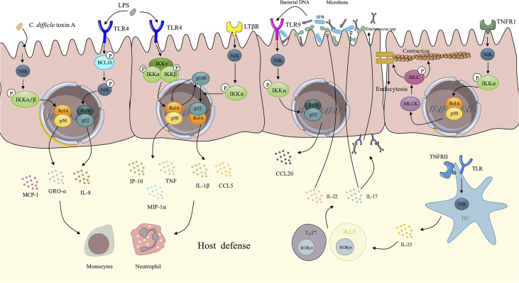 Figure 3