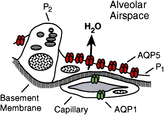 Figure 12.