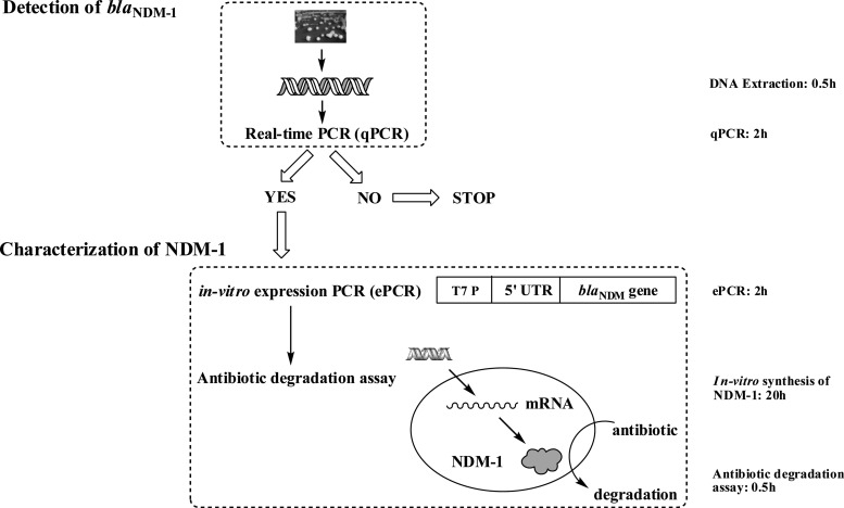 FIG 1