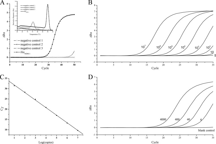 FIG 2