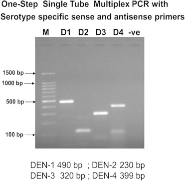 Fig. 2