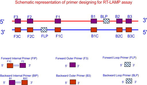 Fig. 3