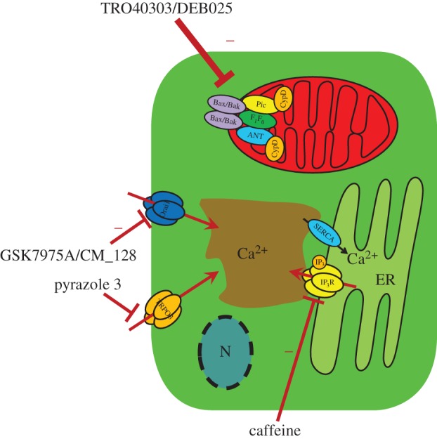 Figure 2.