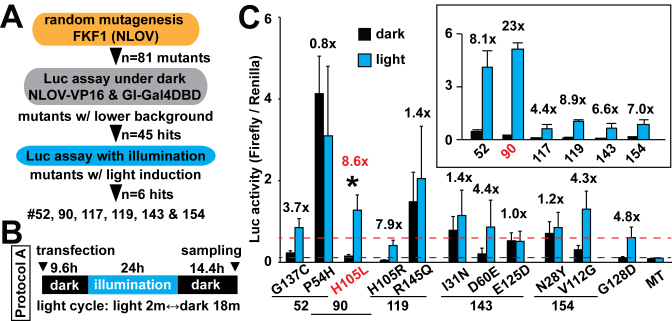 Figure 1.