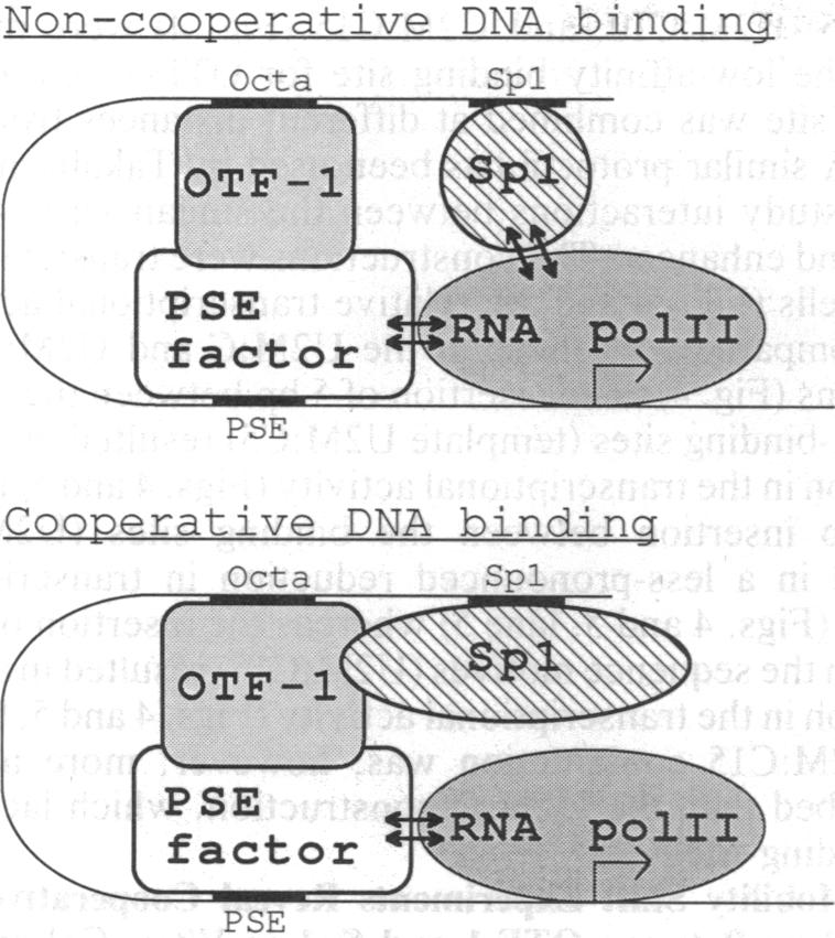 graphic file with name pnas01037-0330-a.jpg