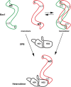Figure 8.