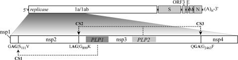 FIG. 7.