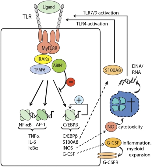 Fig. P1