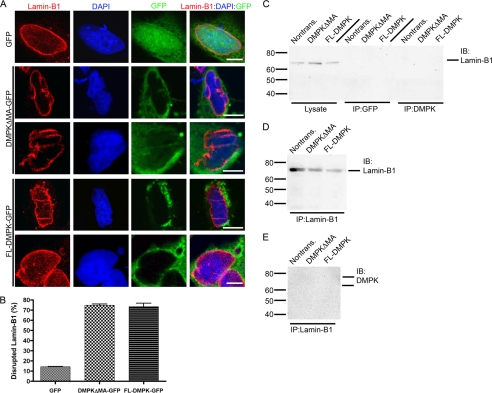 FIGURE 4.