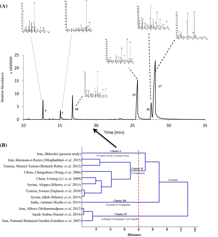 Fig. 1