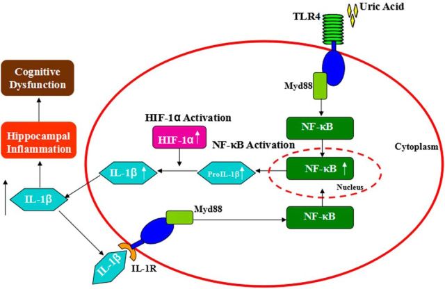 Figure 9.