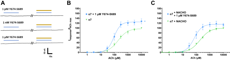 Figure 6