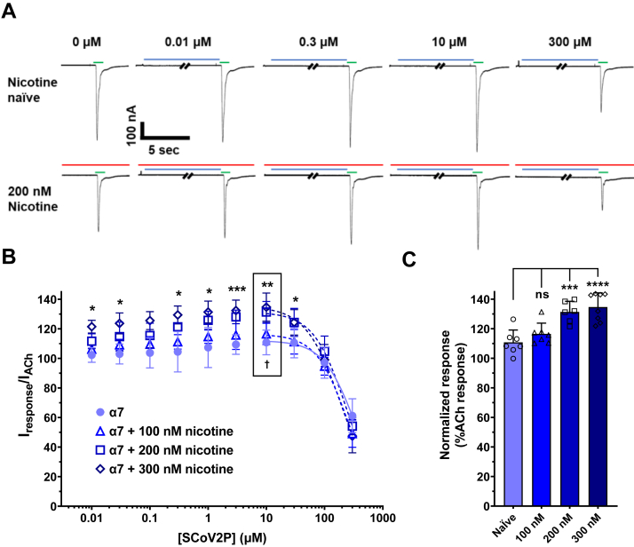 Figure 2