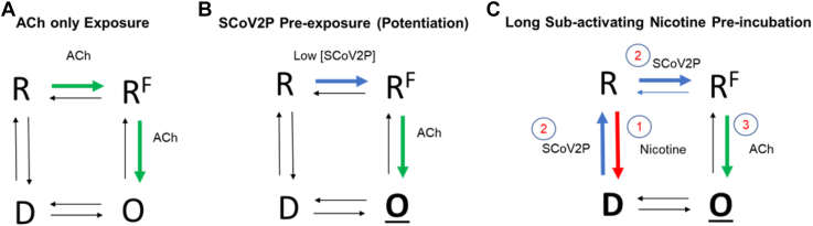 Figure 10