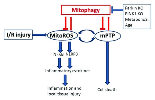 Figure 1.