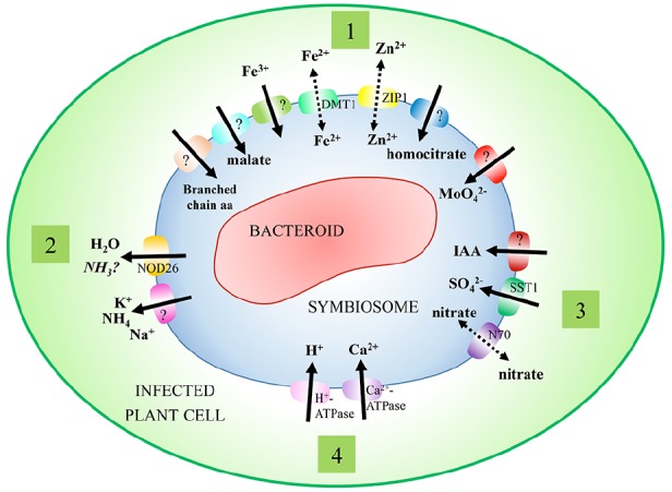 FIGURE 1