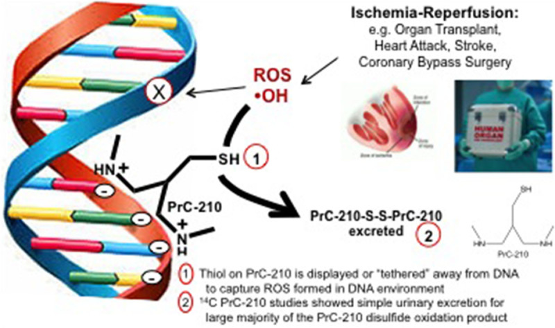 FIGURE 7.