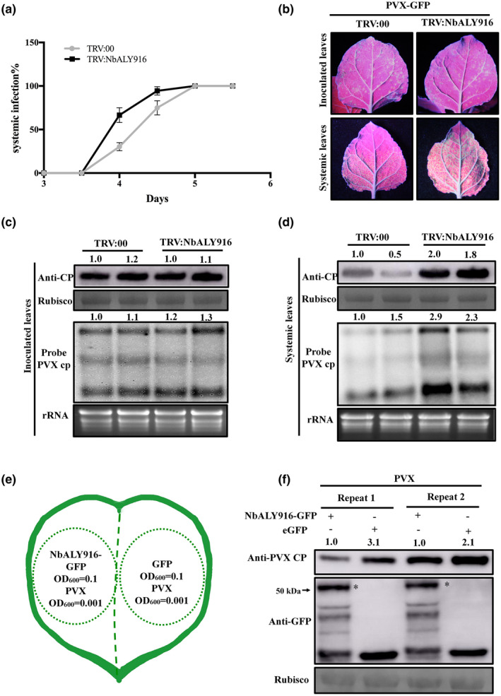 FIGURE 4