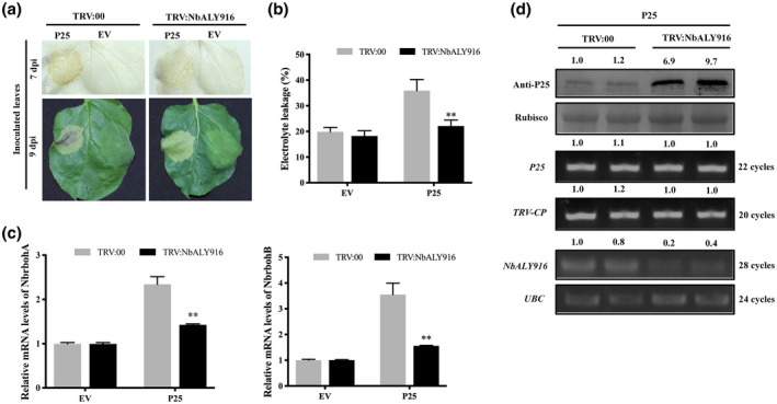 FIGURE 2