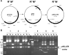 FIG. 1.