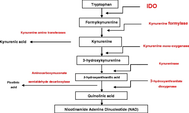 Fig. 2