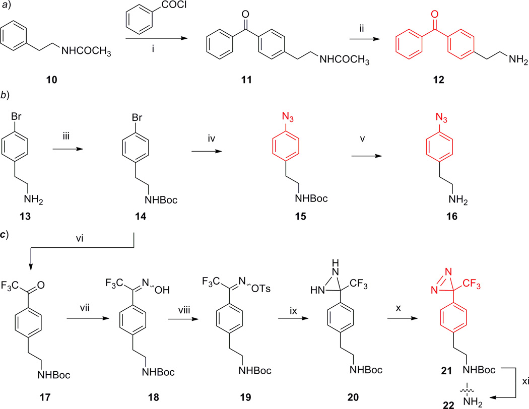 Scheme 1