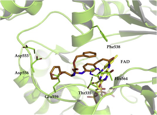 Figure 10