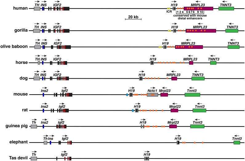 Fig 10