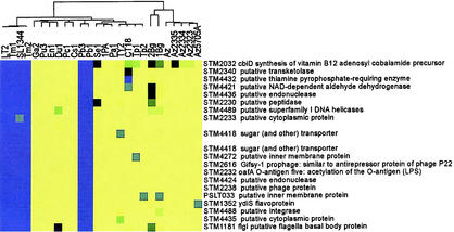 FIG. 4.