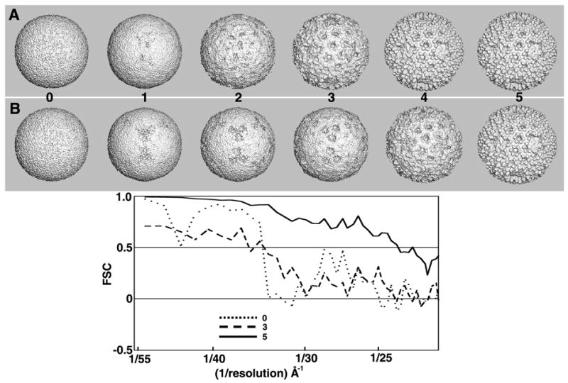 Fig. 8