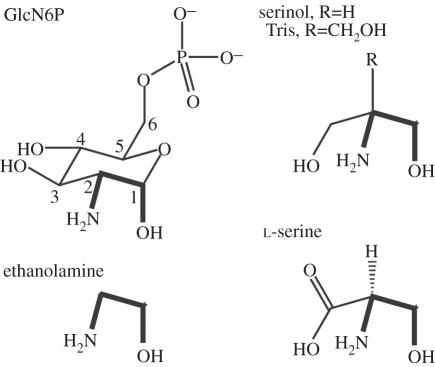 Figure 2.