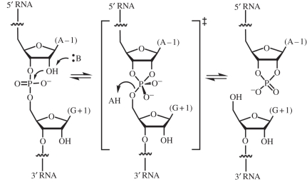 Figure 3.