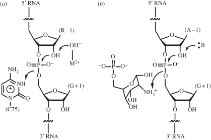 Figure 4.