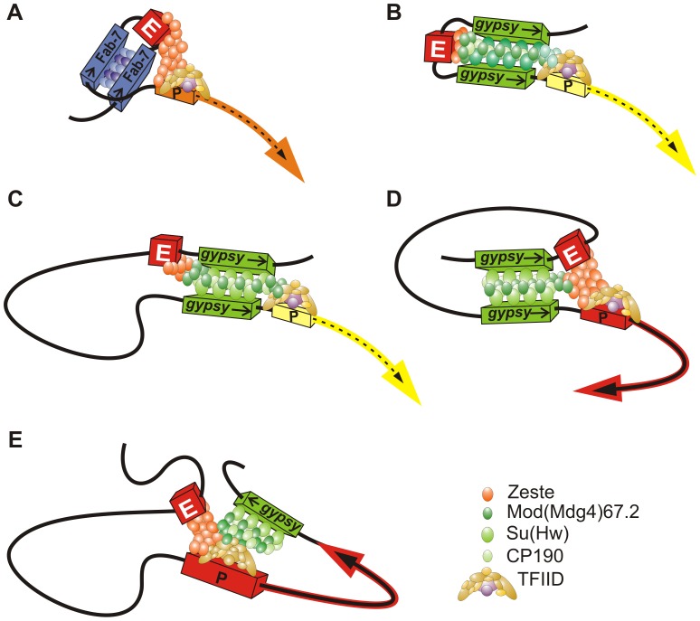 Figure 12