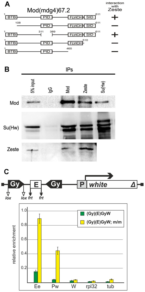 Figure 11