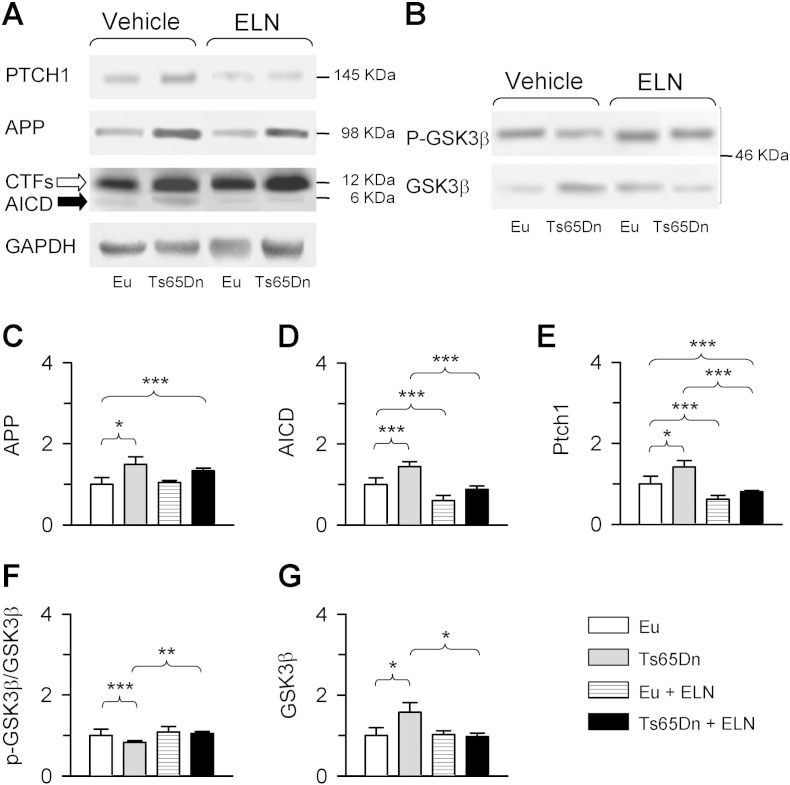 Fig. 3