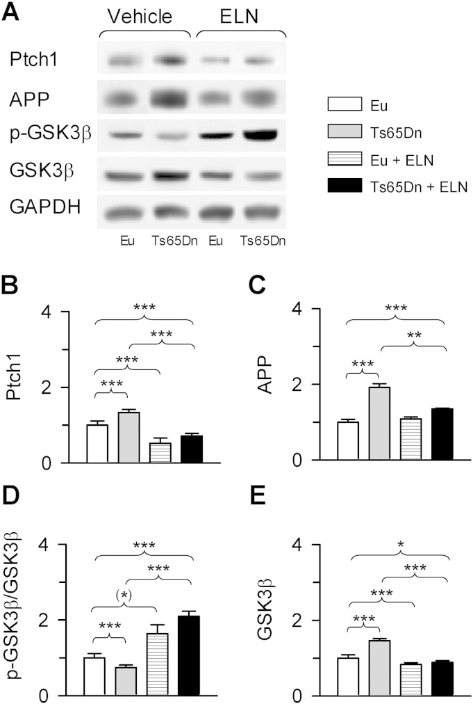 Fig. 8