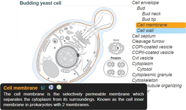 Figure 2.