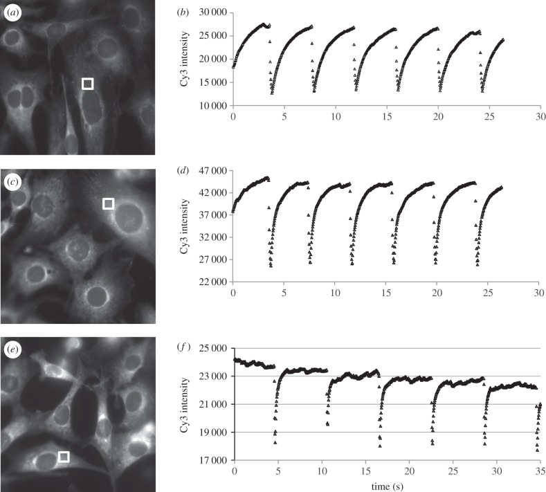 Figure 3.