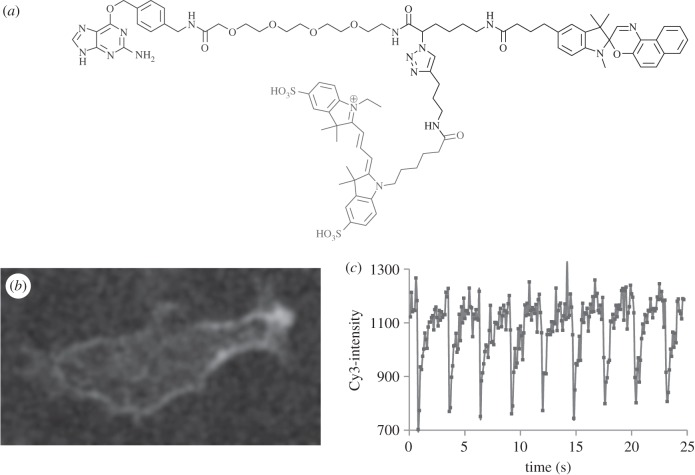 Figure 4.