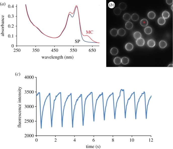 Figure 2.