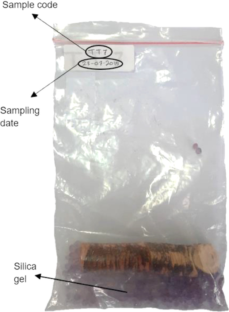 Fig 3
