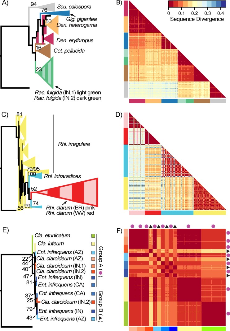 FIG 2