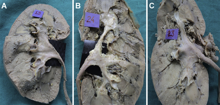 Figure 3