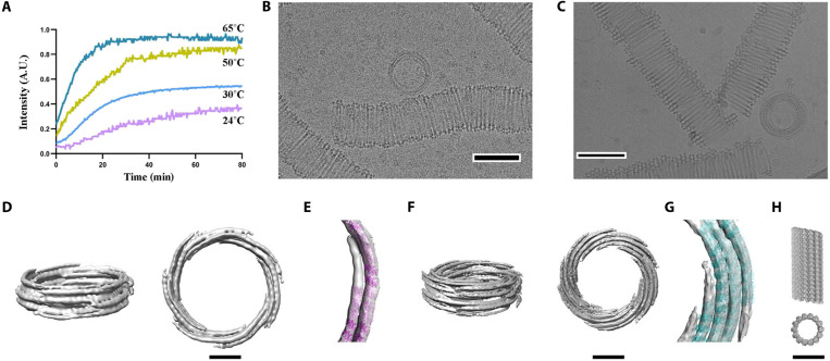 Fig. 6.