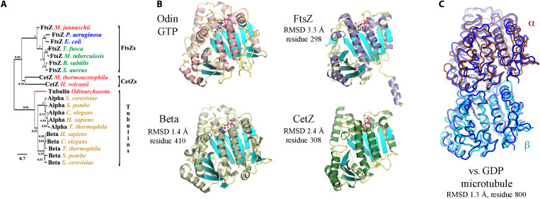 Fig. 1.