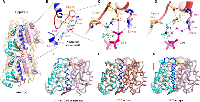 Fig. 2.