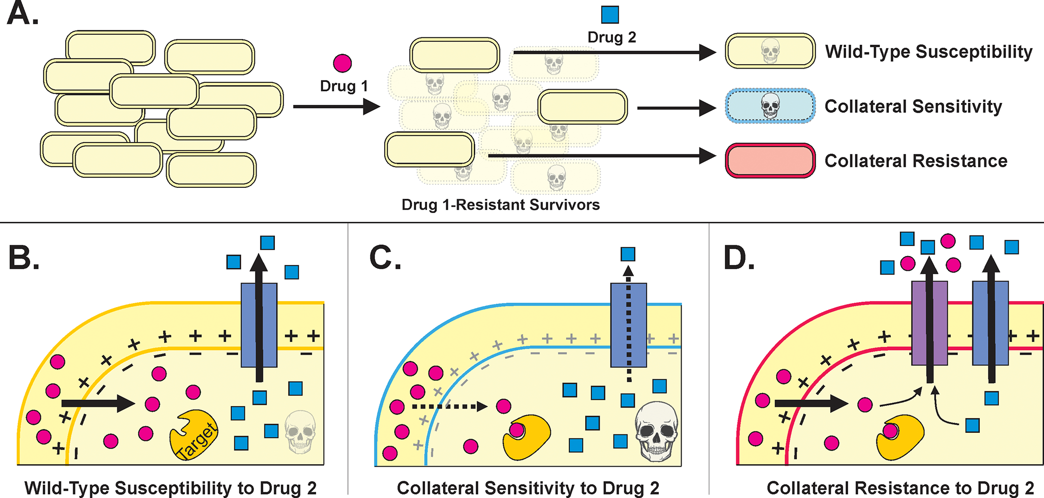 FIGURE 2