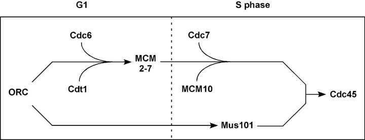 Figure 5.