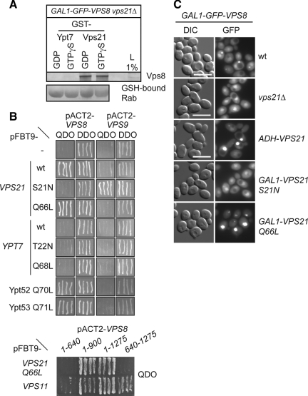 Figure 7.